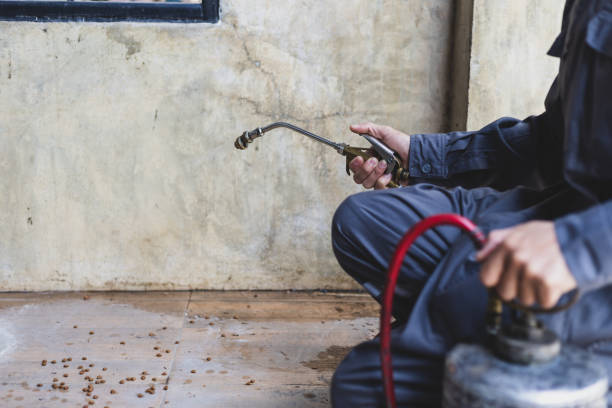 Reliable Rosedale, WA Pest Control Solutions